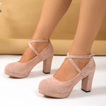 Celine Suede Pumps