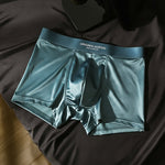 Platinum Ice Silk Brief Set